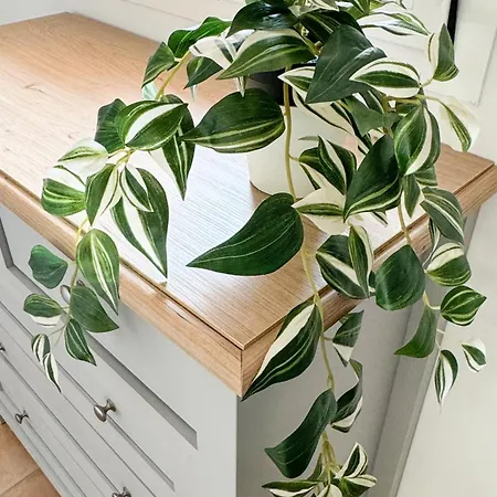 Casa Angela Prázdninový dům *